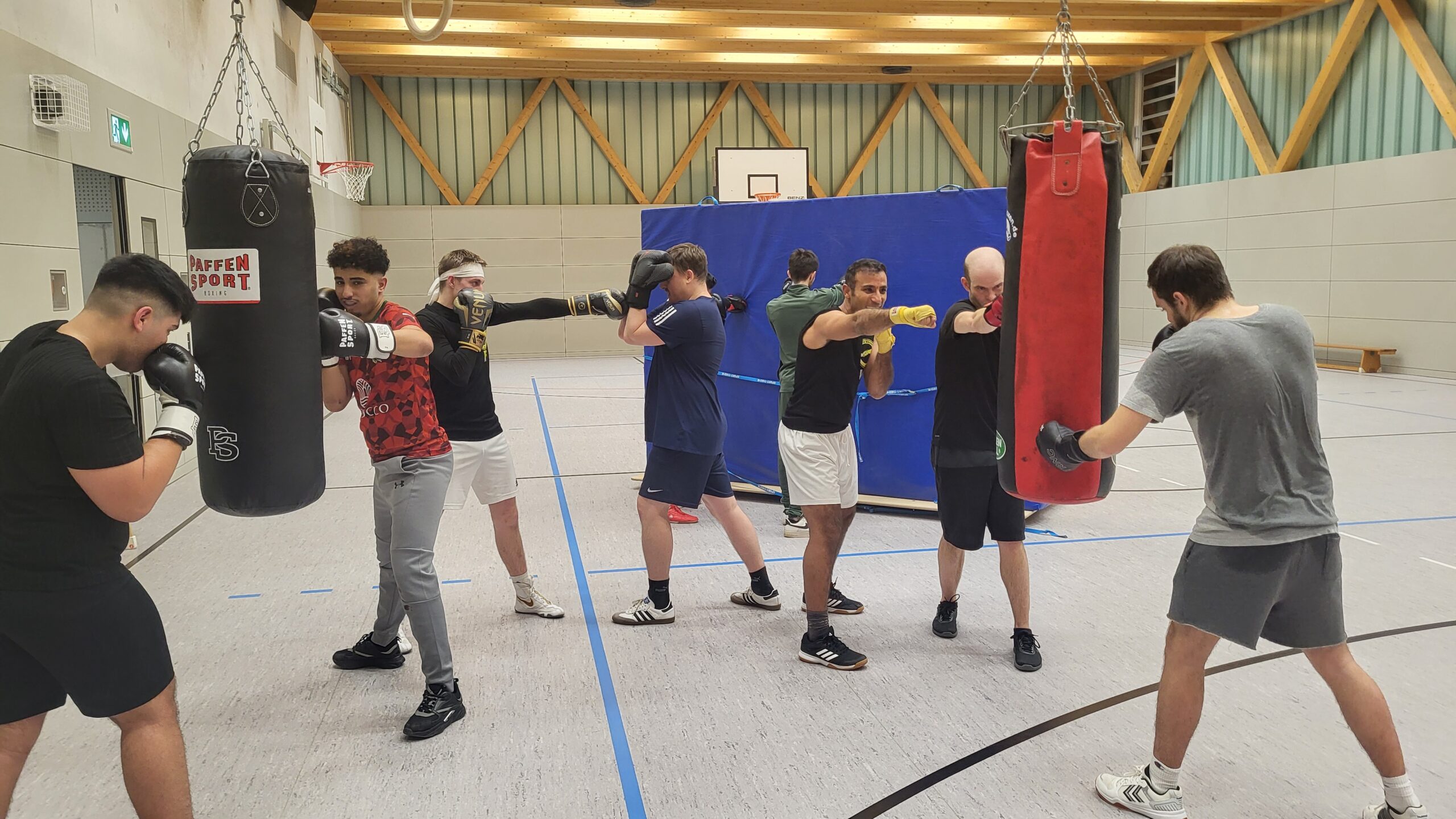 Boxen